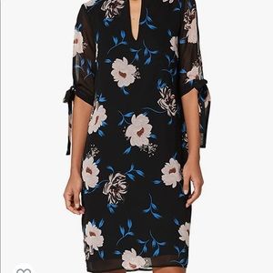 Women's Sheer Sleeve Tunic Dress